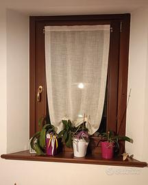 serramenti larice massiccio