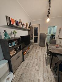 Ampio elegante bilocale arredato