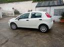fiat-punto-1-4-8v-5-porte-natural-power-street
