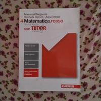 libro matematica rosso 4