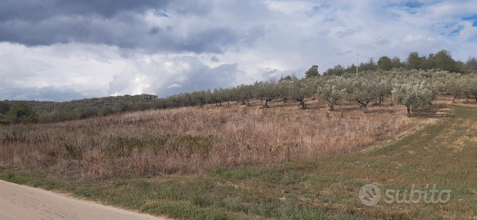 Terreno agricolo con pozzo - Vista 2