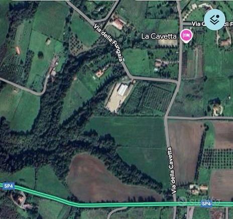 Terreno di 32900 m² a Trevignano Romano - Vista 6