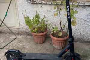 Monopattino elettrico lem