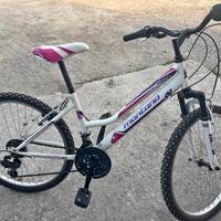 bicicletta montana