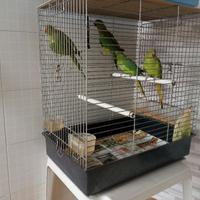 Non contattare prima di leggere tutto