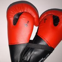 guantoni box /kick boxing 6 oz