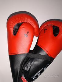 guantoni box /kick boxing 6 oz