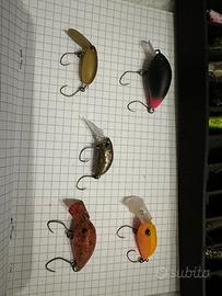 Crank trout area lotto 6