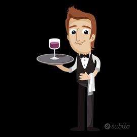 Barista / cameriere