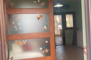 Borgo San Basilio ulivi 2