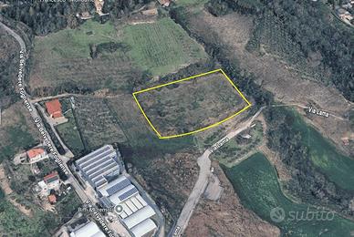 Terreno di 8562 m² a Mondaino