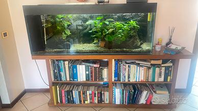 Acquario e mobile