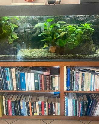 Acquario e mobile