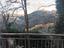 Immagine 19