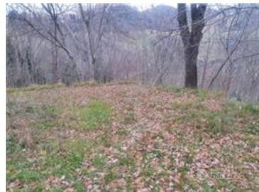 RGE 49/2024 - Tribunale di Urbino - Lotto 3