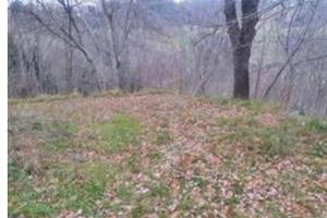 RGE 49/2024 - Tribunale di Urbino - Lotto 3