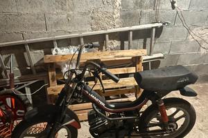 Atala master minarelli p6/4r