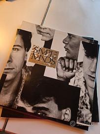 simple mind vinile once upon a time 
