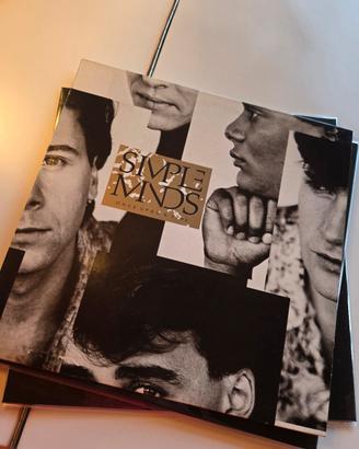 simple mind vinile once upon a time 