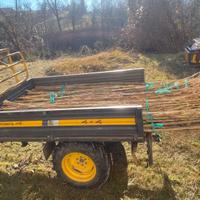 Canne da giardinaggio