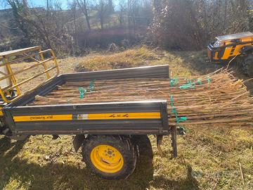 Canne da giardinaggio