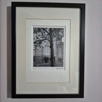 QUADRI STAMPE CON CORNICI IKEA