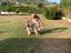 Immagine 5