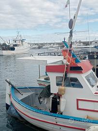 nauti