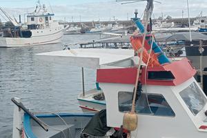 nauti