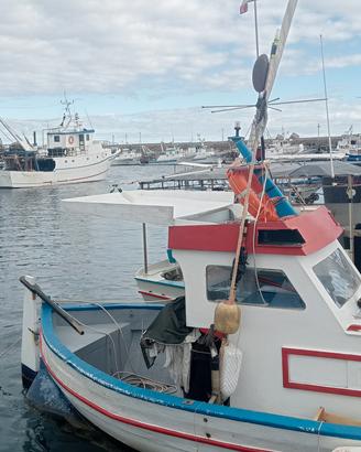 nauti