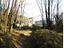 Immagine 6
