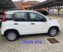 FIAT Panda 1.0 FireFly S&S Hybrid MY 23 KM 0