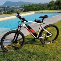Ebike mtb