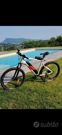 Ebike mtb