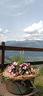 appartamento-valle-d-aosta-disponibile-x-luglio