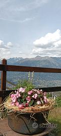 Appartamento Valle d'Aosta disponibile x Luglio