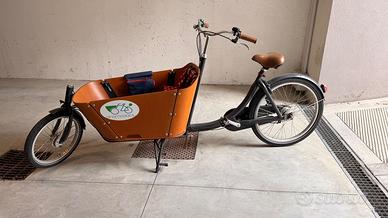 Bicicletta Cargobike Babboe City