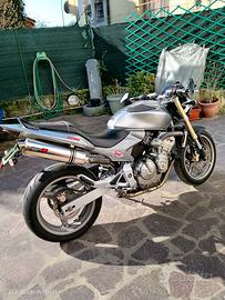 Honda Hornet 600 - 2005