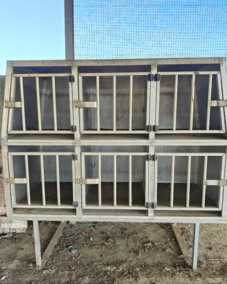 Trasporto cani 6 posti Fiat Ducato