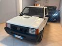 fiat-panda-1100-i-e-cat-young