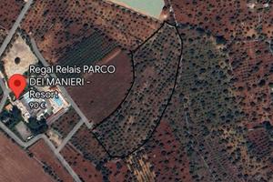 Terreno agricolo 2 ettari Conversano