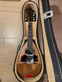 Mandolino Napoletano scuola Vinaccia 1901