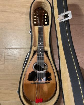 Mandolino Napoletano scuola Vinaccia 1901