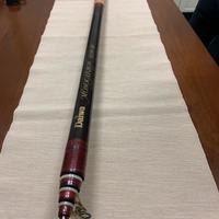 Canna da pesca DAIWA