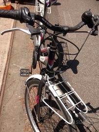Bicicletta Grandis