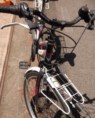 Bicicletta Grandis