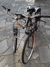 biciclette 