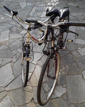 biciclette 