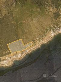 Terrono +rustici.PREZZO TRATTABILE