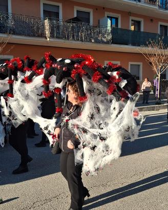 maschera di carnevale adulto